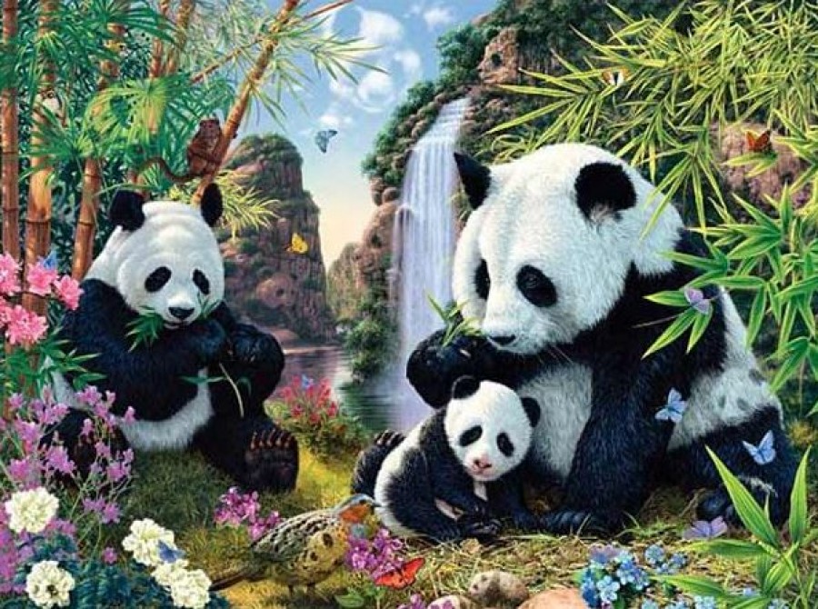 Azt gondold, hogy 3 pandát látsz? Pedig 12 van!