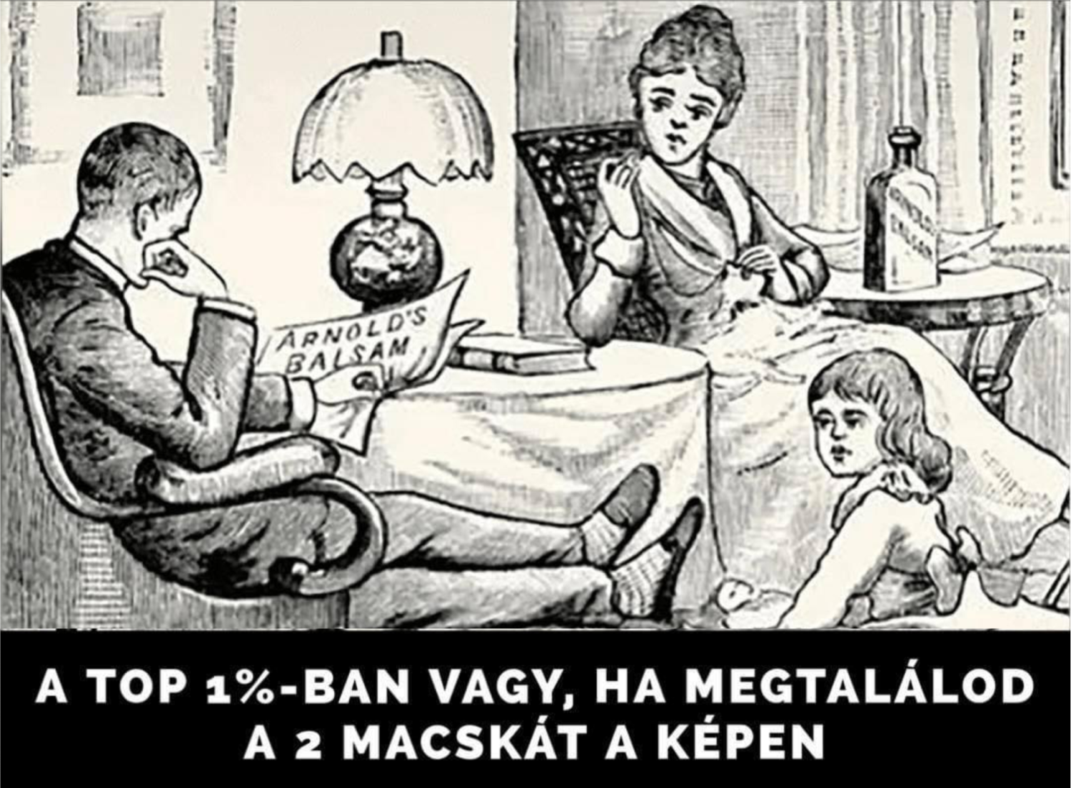 Ha megtalálod a képen a két macskát, akkor a legjobb 1%-ban vagy!