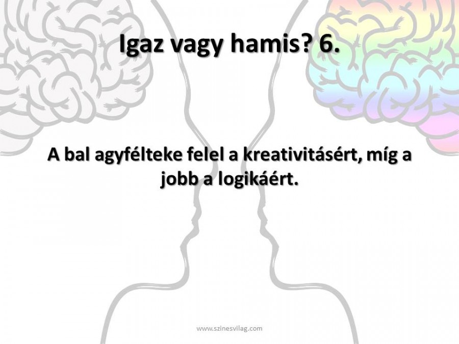 10 kérdés - általános iskolai tananyag. Igaz vagy hamis?