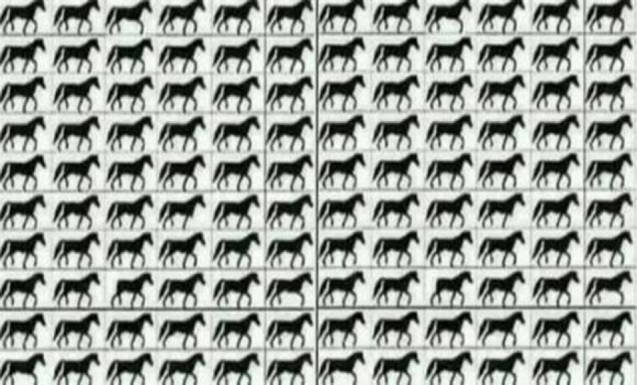 Hány három lábú ló van a képen?