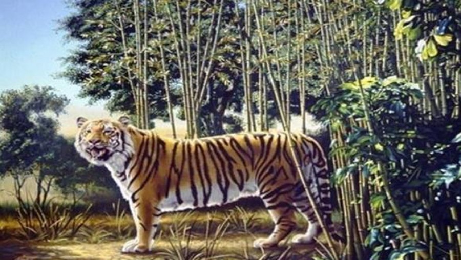 Találd meg a második tigrist a képen!